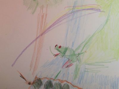 <strong>Rainforest theme day on Zoom at Independence Studio</strong><br/>Rainforest theme day on Zoom at Independence Studio